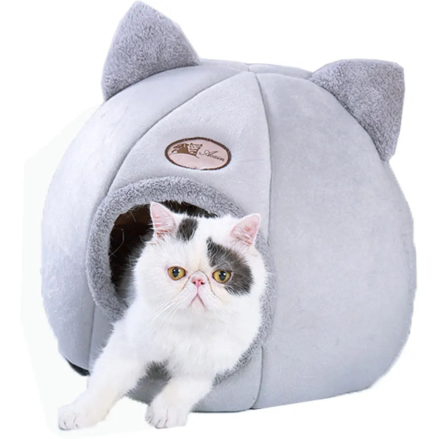 Plush Winter Warming Lovely Pet bed With Removable Soft Mat Cushion