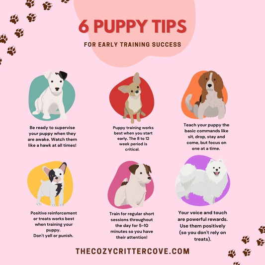 6 New Puppy Tips