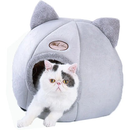 Plush Winter Warming Lovely Pet bed With Removable Soft Mat Cushion