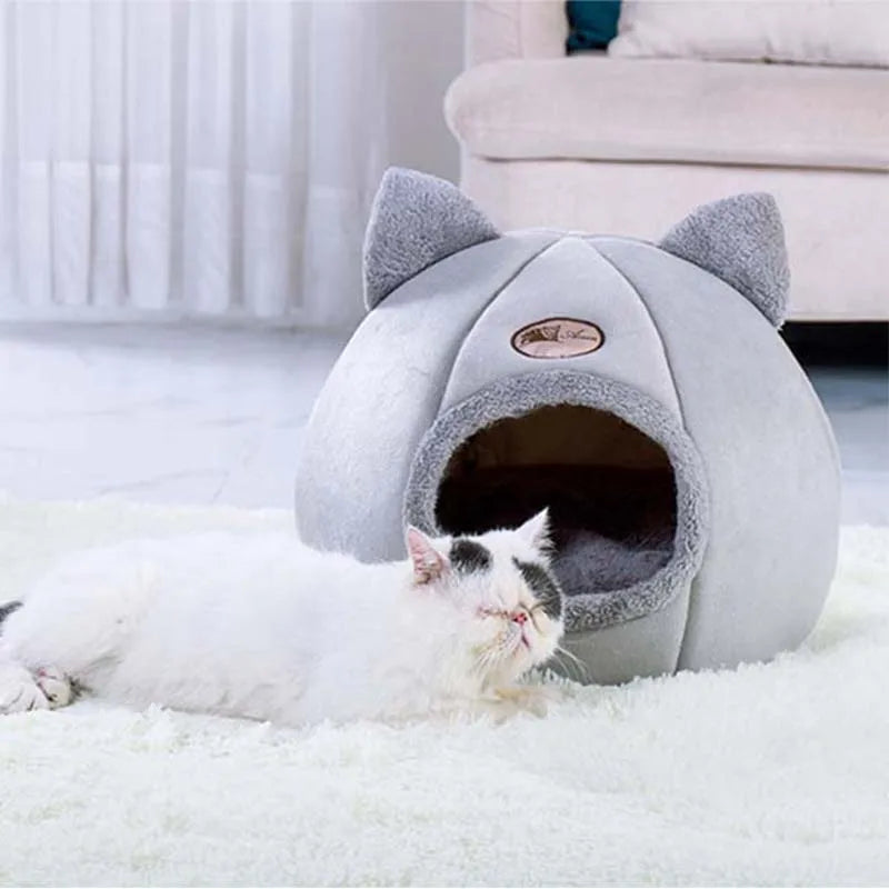 Plush Winter Warming Lovely Pet bed With Removable Soft Mat Cushion
