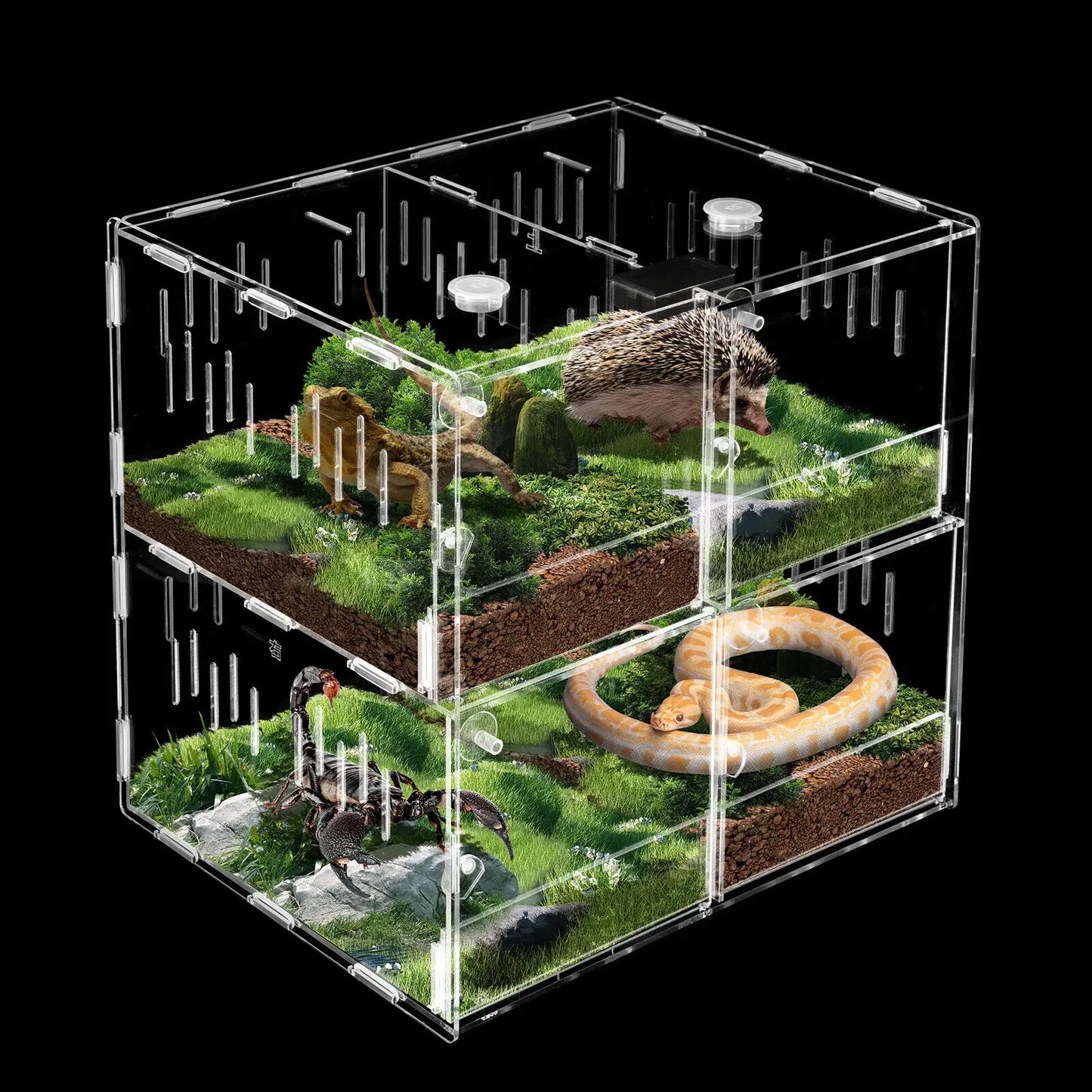4 Grids Clear Acrylic Reptile Cage Breeding Box Terrarium Lizard Insect Climbing Spider Snake Tank