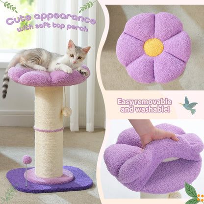 Flower Cat Scratching Post with Removable Flower Cat Bed, Spring Ball