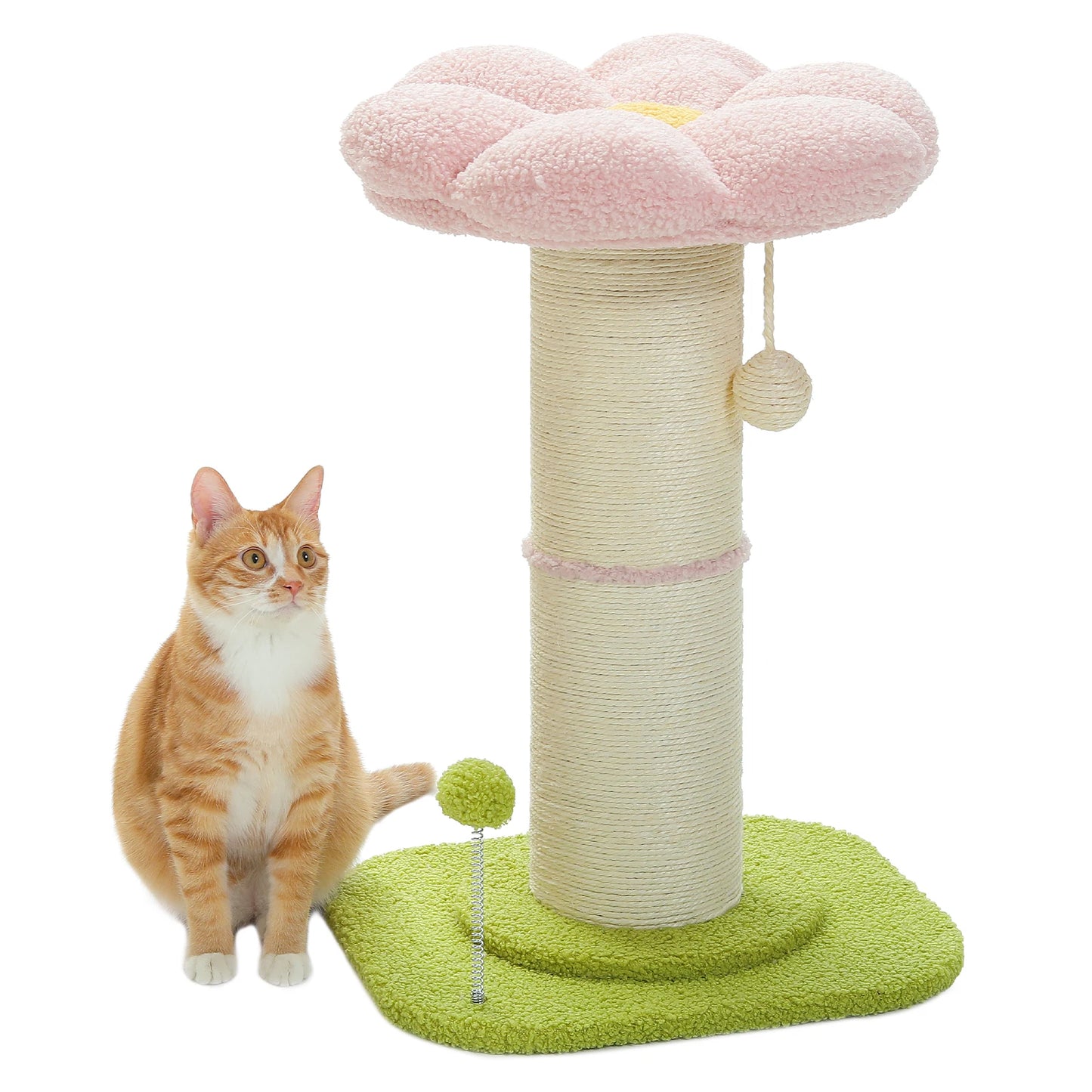 Flower Cat Scratching Post with Removable Flower Cat Bed, Spring Ball