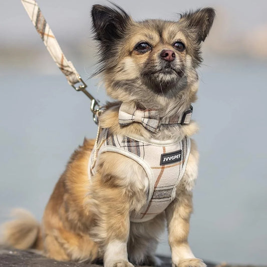 No Pull Dog Harness For Small Dogs Reflective & Adjustable With Bow Tie Collar and Leash