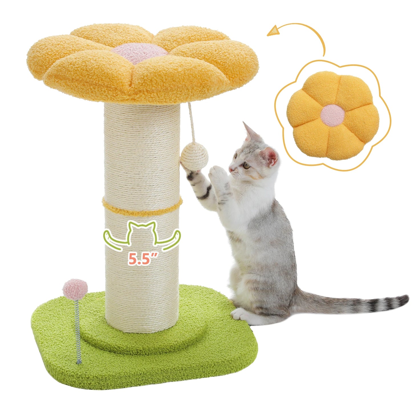 Flower Cat Scratching Post with Removable Flower Cat Bed, Spring Ball
