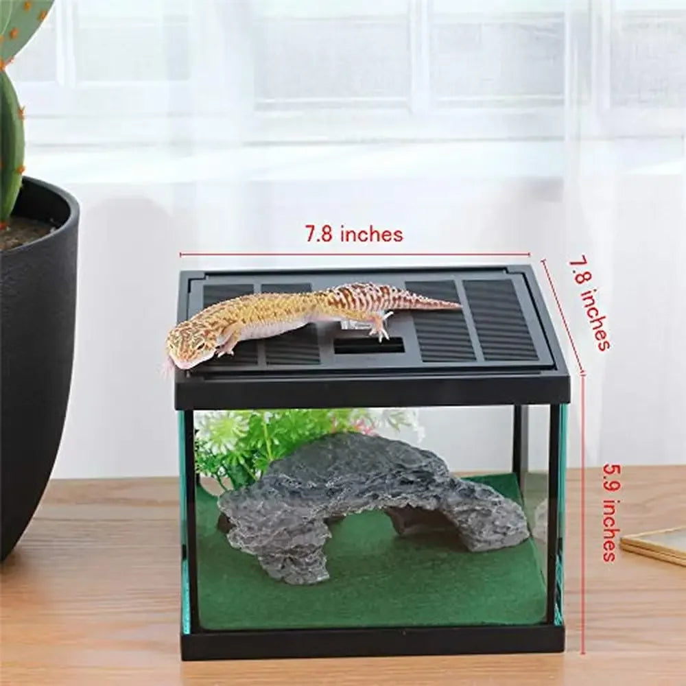 Reptile Amphibians Tank Glass Terrarium Box Ventilation Visible Habitat Single-Door Waterproof Lightweight 7.8x7.8x5.9 inches