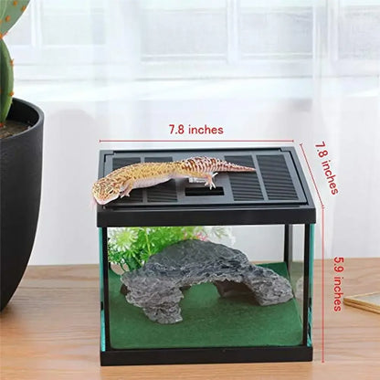 Reptile Amphibians Tank Glass Terrarium Box Ventilation Visible Habitat Single-Door Waterproof Lightweight 7.8x7.8x5.9 inches