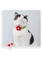 Kawaii Crochet Pet Collar, Adjustable Wool Necklace Flowers