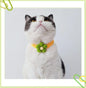 Kawaii Crochet Pet Collar, Adjustable Wool Necklace Flowers
