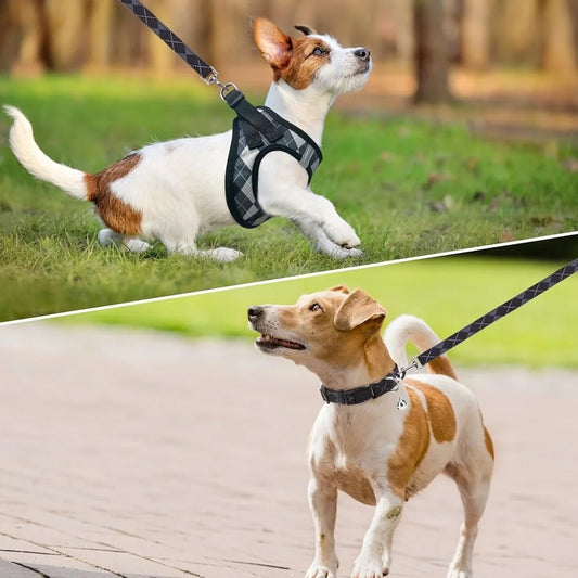 Dog Harness Collar Leash Set No Pull Step-in Soft Mesh Reflective Design
