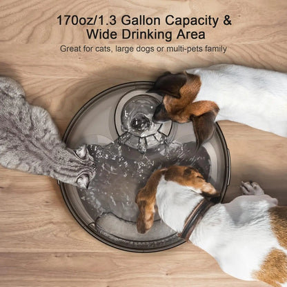 Large Automatic Pet Water Dispenser for Multiple Pets