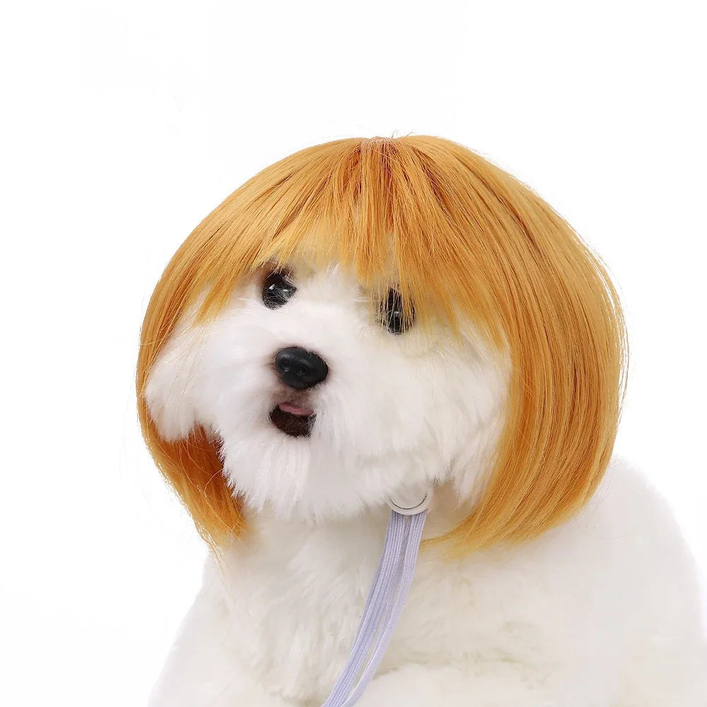 Halloween Curly Hair and Straight Hair Wigs