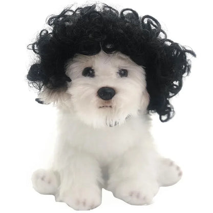 Halloween Curly Hair and Straight Hair Wigs