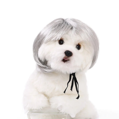 Halloween Curly Hair and Straight Hair Wigs