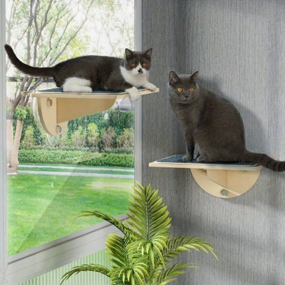 Cat Window or Wall Perch With Suction Cups