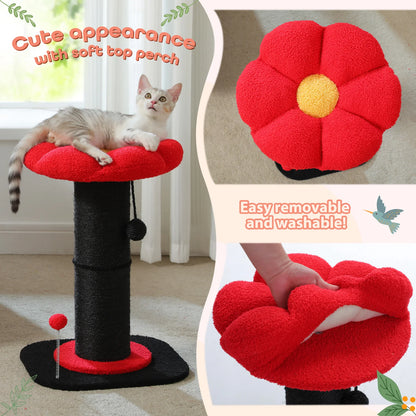 Flower Cat Scratching Post with Removable Flower Cat Bed, Spring Ball