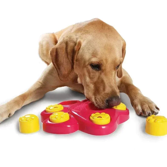 Pet Dog Plastic Educational Toy Anti Choke Bowl Funny Interactive Toys For Small To Large Dogs