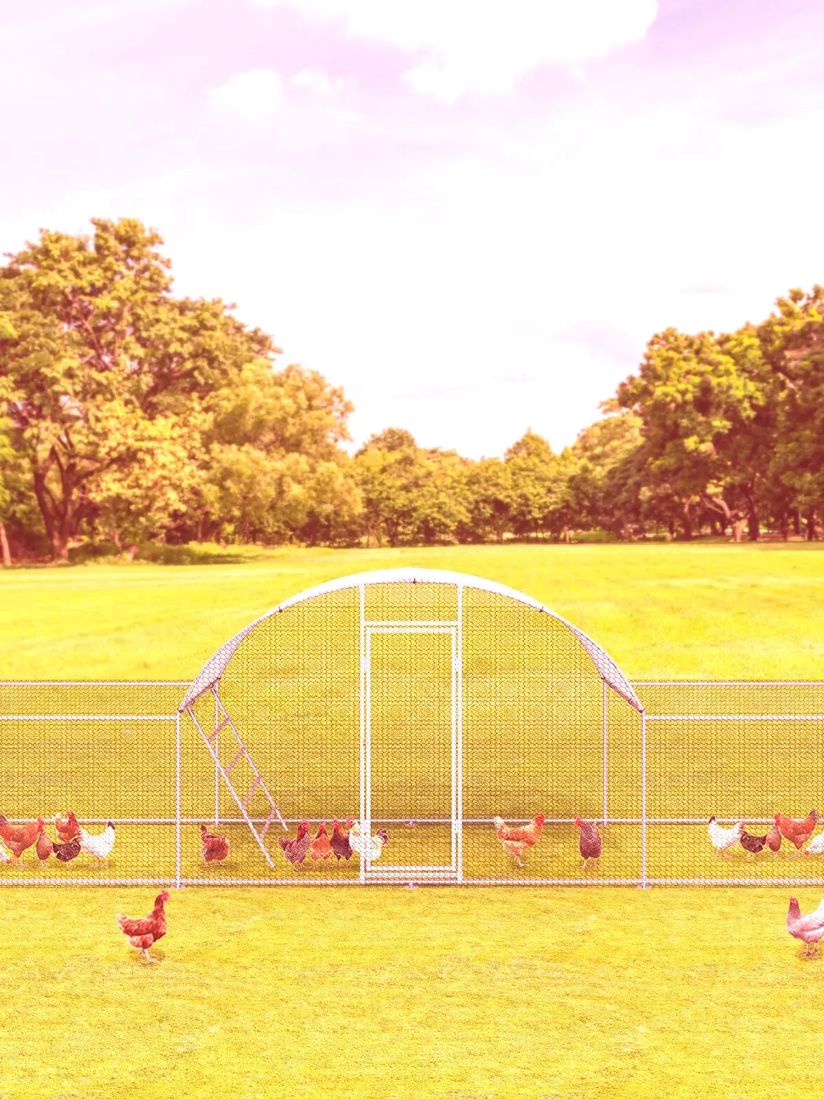 23ft Metal Chicken Coop, Run Enclosure Walk-in Galvanized Duck or Rabbit Cage House