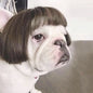 Halloween Curly Hair and Straight Hair Wigs