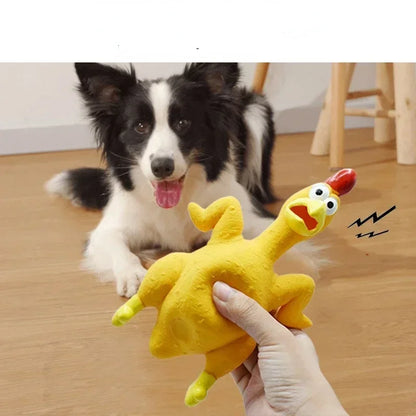 Screaming Plastic Chicken Toy