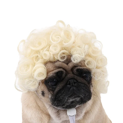 Halloween Curly Hair and Straight Hair Wigs