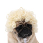 Halloween Curly Hair and Straight Hair Wigs