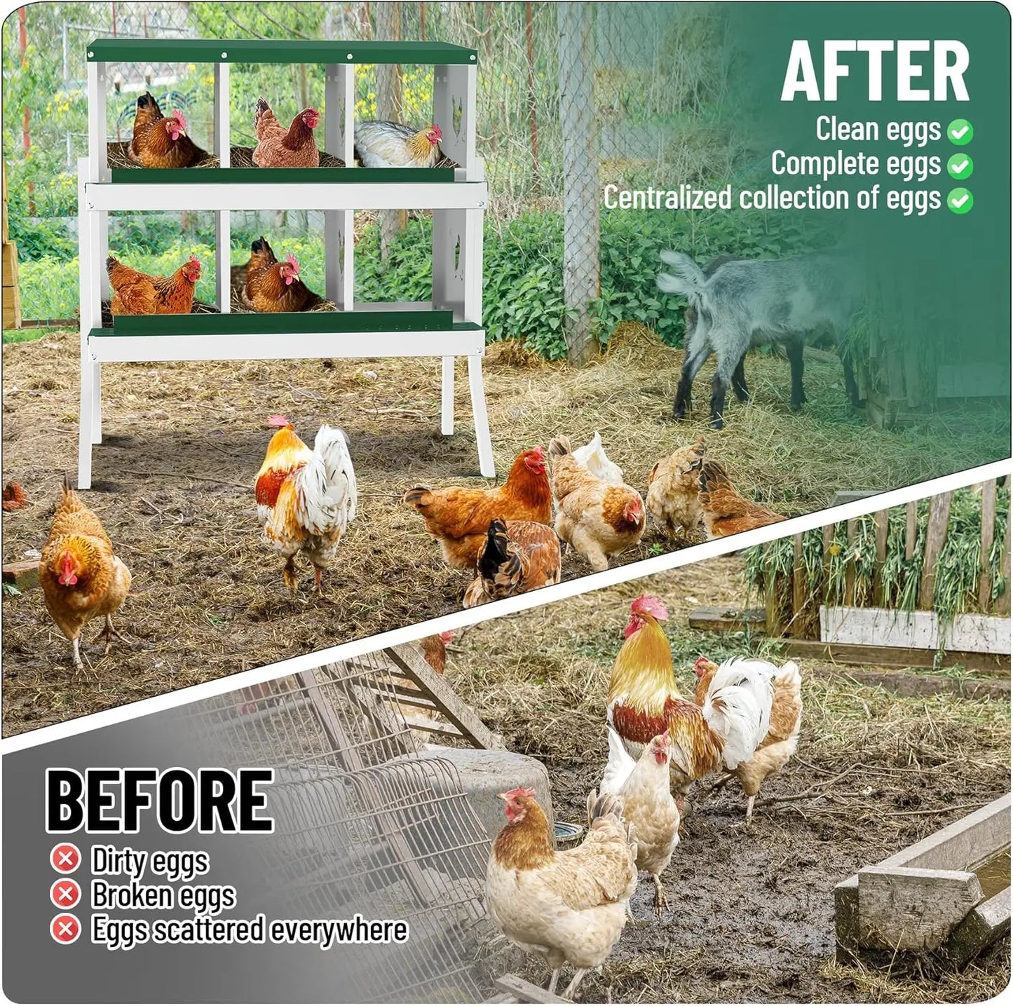 Chicken Nesting Box with Bracket Legs 6/8/10 Compartment Metal Chicken Laying Boxes for Chicken Coop Hens